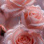 عکس کاربر - A . A