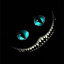 عکس کاربر - Bardiia.Mousavi