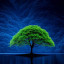 عکس کاربر - حسن رمضان زاده