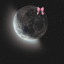 عکس کاربر - 🌑 moon 🌑