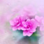 عکس کاربر - 🌸سحر🌸