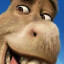 عکس کاربر - SHrek donkey