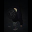 عکس کاربر - hate__youu