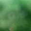 عکس کاربر - بهمن