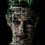 عکس کاربر - omid 021