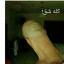 عکس کاربر - کله شق