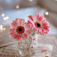 عکس کاربر - 💖farimah.zare💖