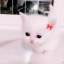 عکس کاربر - ⁦⁦🎀领先一点