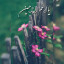 عکس کاربر - z.m