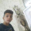 عکس کاربر - GALOS 2025
