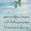 عکس کاربر - Flora