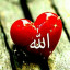 عکس کاربر - میثم ایجباری
