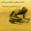 عکس کاربر - لعیا