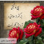 عکس کاربر - Hossein 