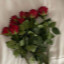عکس کاربر - negin
