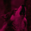 عکس کاربر - wolf pink