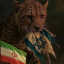عکس کاربر - seyarh