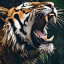 عکس کاربر - ببر 🐅🏴‍☠️