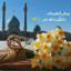 عکس کاربر - یاسین همدرد