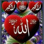 عکس کاربر - سید