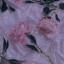 عکس کاربر - "varnal"