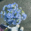 عکس کاربر - M̠e̠h̠r̠b̠a̠n̠u̠ 💧💐