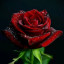 عکس کاربر - ♥شهلا♥