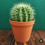 عکس کاربر - 🌵🌵🌵