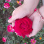 عکس کاربر - سحر قرنلی