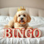 عکس کاربر - KING_BINGO
