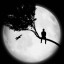 عکس کاربر - MySHADOW