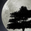 عکس کاربر - بهناز