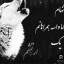 عکس کاربر - محمد فاضل
