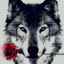 عکس کاربر - hosseyn_tt