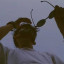 عکس کاربر - 𝐏𝐀𝐑𝐒𝐀