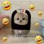عکس کاربر - پرهام فتاحی