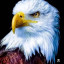 عکس کاربر - eagle