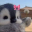عکس کاربر - 🐧🎀پنگوئن ناناس🎀🐧