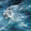 عکس کاربر - امین حسین زاده