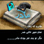 عکس کاربر - QulamReza Etemadi