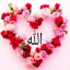 عکس کاربر - 🤍🤍🤍💛💛💛زیبا فقط الله