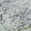 عکس کاربر - میثم‌صمدی