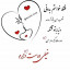 عکس کاربر - رضا