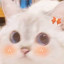عکس کاربر - 小猫🎀