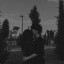 عکس کاربر - کیم سه جونگ