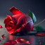 عکس کاربر - ۹۱۲۰۵۵