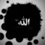 عکس کاربر - آرشام مه پیکر 