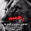 عکس کاربر - شیر زخمی