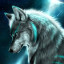 عکس کاربر - Wolf eghbal