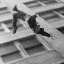 عکس کاربر - hosna_maleki